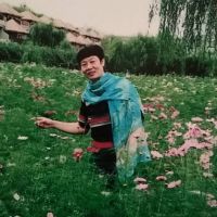 陈倩清